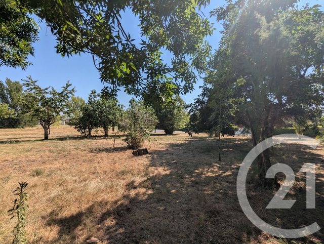 Terrain &agrave; vendre - 700 m2 - Gaillac - 81 - MIDI-PYRENEES