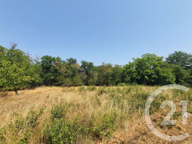 Terrain &agrave; vendre - 860 m2 - Montans - 81 - MIDI-PYRENEES