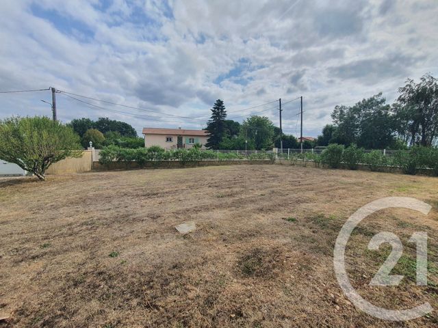Maison &agrave; vendre - 7 pi&egrave;ces - 215,20 m2 - Lisle Sur Tarn - 81 - MIDI-PYRENEES