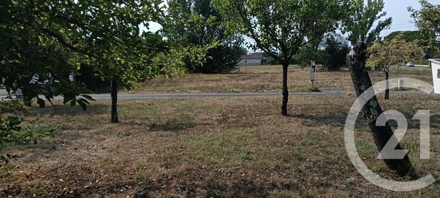 Terrain &agrave; vendre - 700 m2 - Gaillac - 81 - MIDI-PYRENEES
