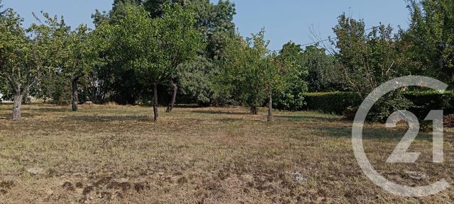 Terrain &agrave; vendre - 700 m2 - Gaillac - 81 - MIDI-PYRENEES