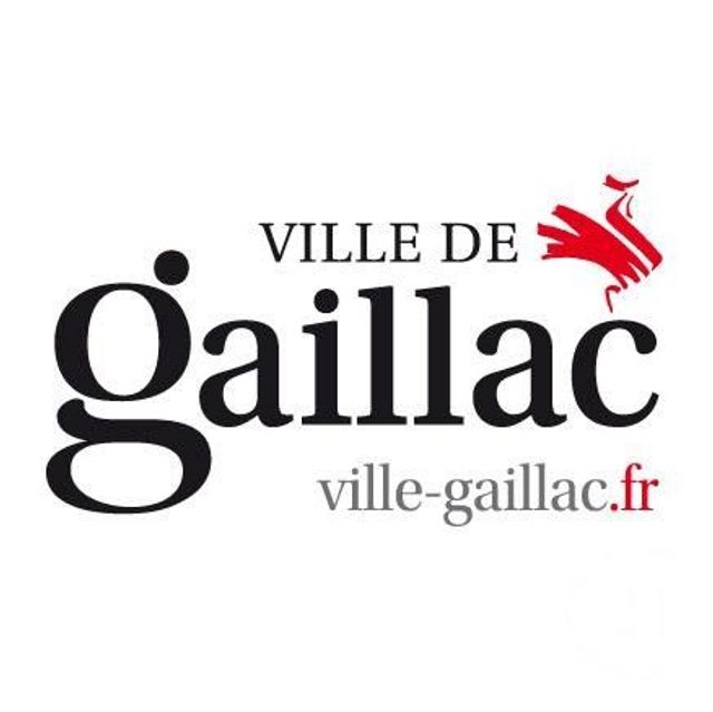 Terrain &agrave; vendre - 700 m2 - Gaillac - 81 - MIDI-PYRENEES