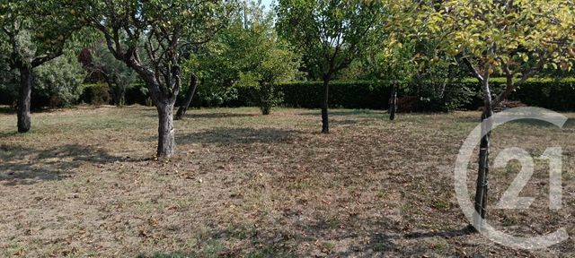 Terrain &agrave; vendre - 700 m2 - Gaillac - 81 - MIDI-PYRENEES