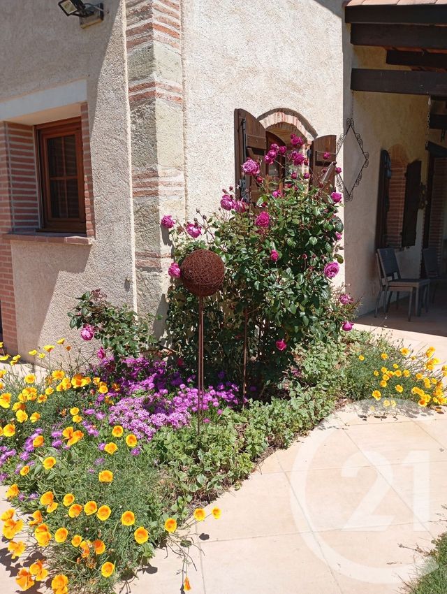 Maison &agrave; vendre - 8 pi&egrave;ces - 178,43 m2 - Montgaillard - 81 - MIDI-PYRENEES