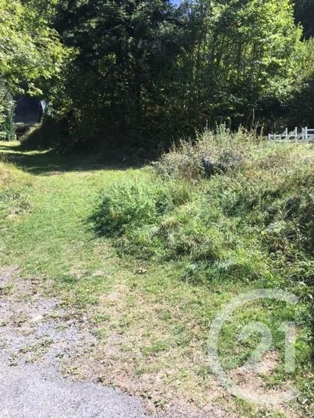 Terrain &agrave; vendre - 2841 m2 - Cauterets - 65 - MIDI-PYRENEES