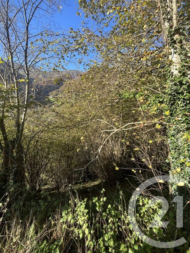 Terrain &agrave; vendre - 706 m2 - Cauterets - 65 - MIDI-PYRENEES