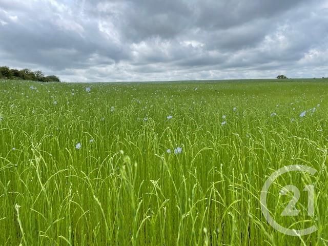 terrain - GISORS - 27