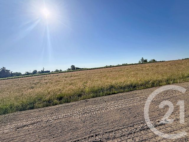 Terrain &agrave; vendre - 1200 m2 - Contigny - 03 - AUVERGNE