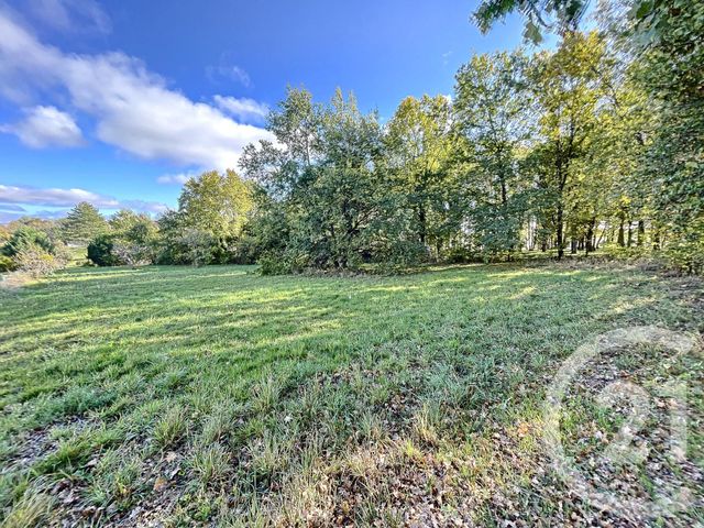 Terrain à vendre - 3600 m2 - St Pourcain Sur Sioule - 03 - AUVERGNE