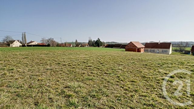 Terrain à vendre - 1546 m2 - Saulcet - 03 - AUVERGNE