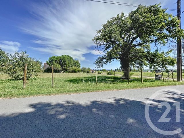 terrain - LOUCHY MONTFAND - 03