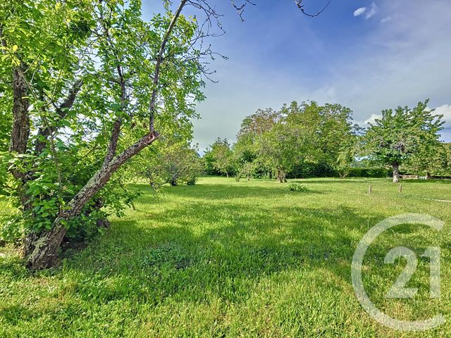 Maison à vendre - 5 pièces - 202,50 m2 - Deneuille Les Chantelle - 03 - AUVERGNE