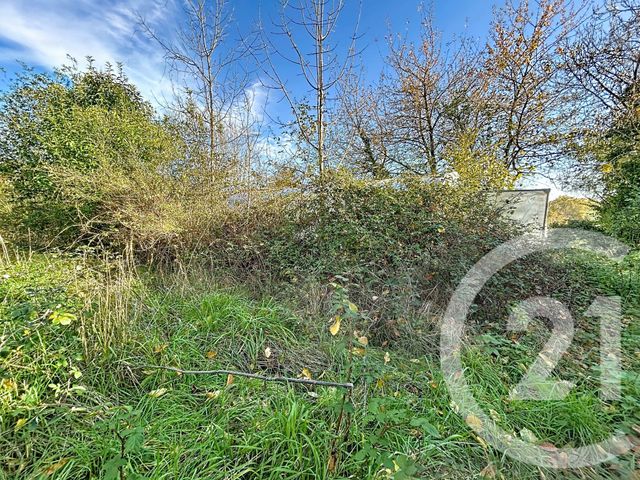 Terrain à vendre - 960 m2 - Treban - 03 - AUVERGNE