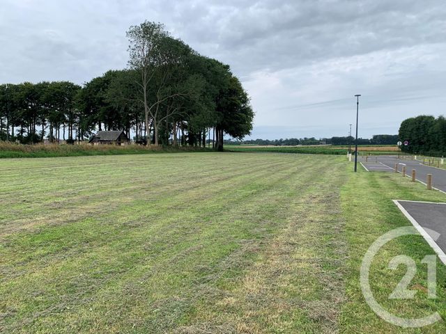 Terrain &agrave; vendre - 1099 m2 - Therouldeville - 76 - HAUTE-NORMANDIE