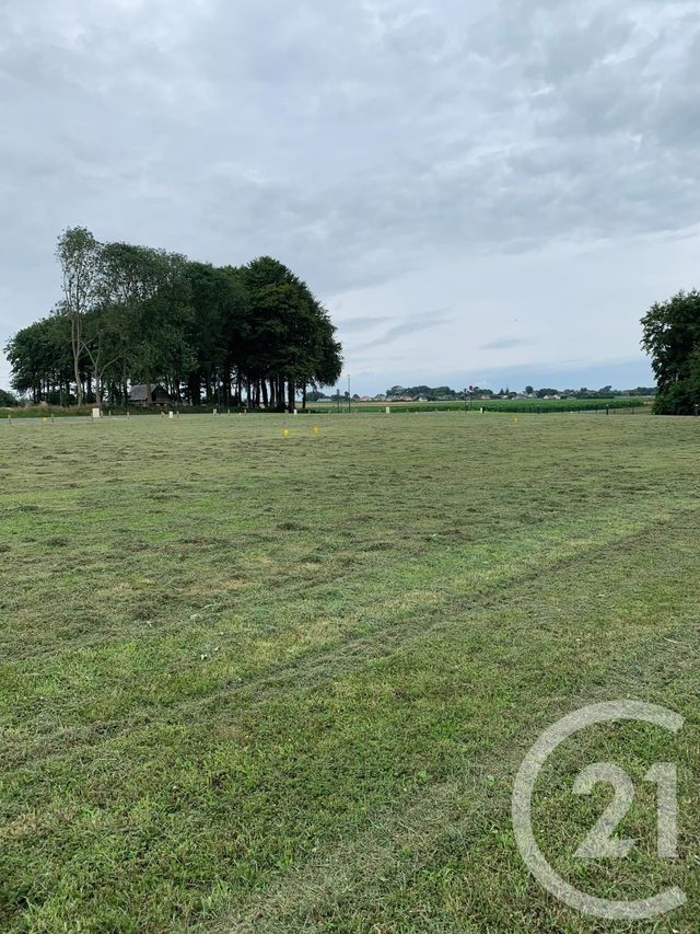 Terrain &agrave; vendre - 750 m2 - Therouldeville - 76 - HAUTE-NORMANDIE