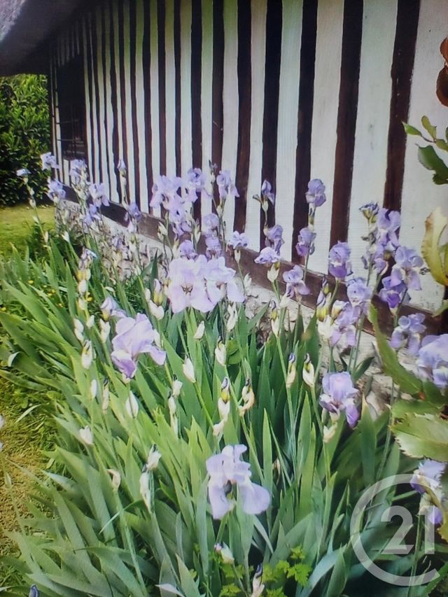 Maison à vendre - 6 pièces - 197,45 m2 - Vattetot Sous Beaumont - 76 - HAUTE-NORMANDIE