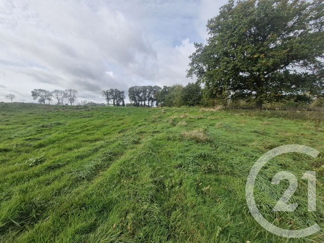 terrain - BLOSSEVILLE - 76