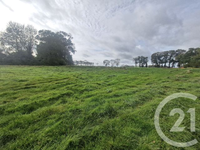 Terrain &agrave; vendre - 3000 m2 - Blosseville - 76 - HAUTE-NORMANDIE