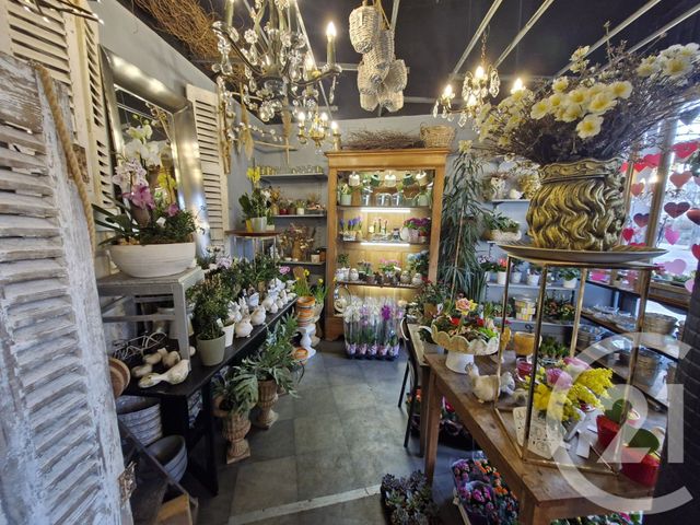 divers - ST VALERY EN CAUX - 76