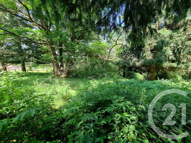 Terrain &agrave; vendre - 2500 m2 - Encausse Les Thermes - 31 - MIDI-PYRENEES