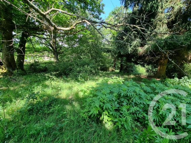 Terrain &agrave; vendre - 2500 m2 - Encausse Les Thermes - 31 - MIDI-PYRENEES