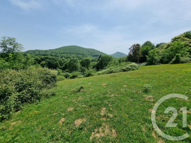 Terrain &agrave; vendre - 2500 m2 - Encausse Les Thermes - 31 - MIDI-PYRENEES