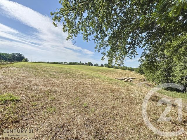 Maison à vendre - 5 pièces - 258 m2 - Latoue - 31 - MIDI-PYRENEES