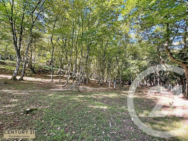 Maison à vendre - 5 pièces - 168 m2 - Arbon - 31 - MIDI-PYRENEES