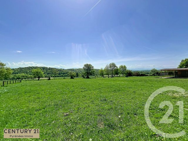 Maison &agrave; vendre - 4 pi&egrave;ces - 263,08 m2 - Larcan - 31 - MIDI-PYRENEES