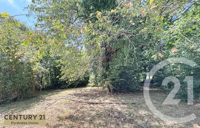 Maison &agrave; vendre - 3 pi&egrave;ces - 150 m2 - Montrejeau - 31 - MIDI-PYRENEES