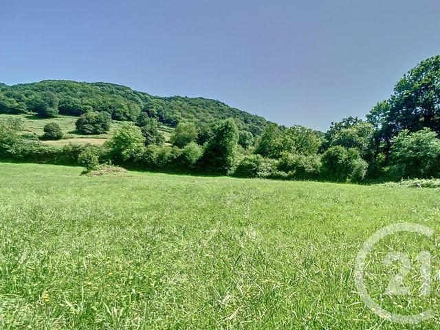 Terrain &agrave; vendre - 2296 m2 - Montjoie En Couserans - 09 - MIDI-PYRENEES
