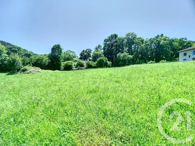 terrain - MONTJOIE EN COUSERANS - 09