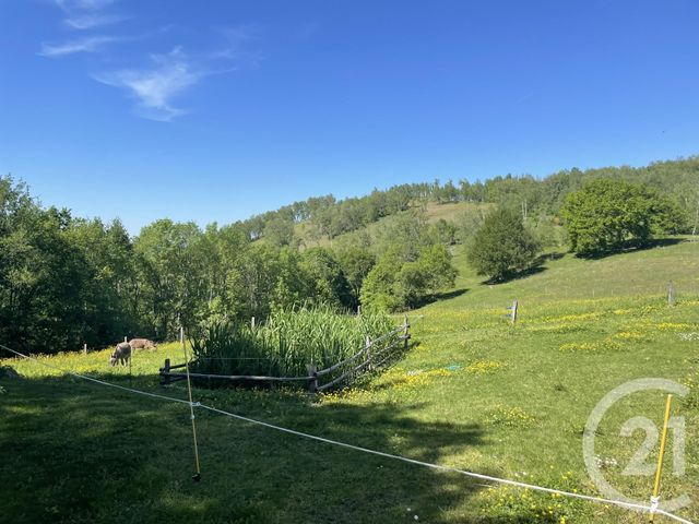 Maison &agrave; vendre - 7 pi&egrave;ces - 272 m2 - Contrazy - 09 - MIDI-PYRENEES