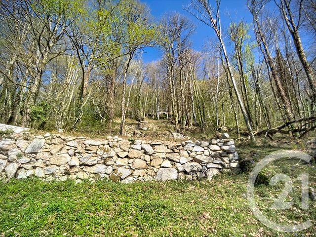 Maison &agrave; vendre - 9 pi&egrave;ces - 227,90 m2 - Erce - 09 - MIDI-PYRENEES