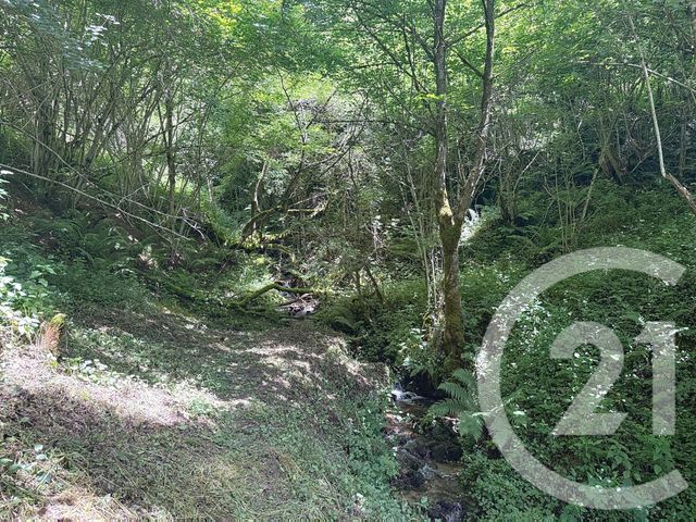 Maison &agrave; vendre - 2 pi&egrave;ces - 74 m2 - Bethmale - 09 - MIDI-PYRENEES