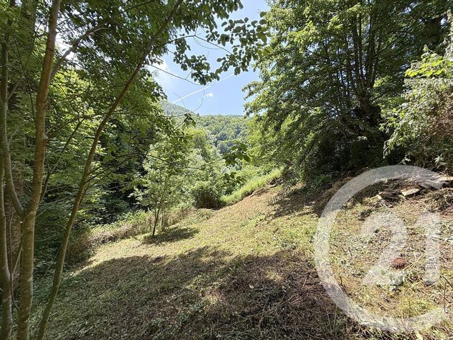 Maison &agrave; vendre - 2 pi&egrave;ces - 74 m2 - Bethmale - 09 - MIDI-PYRENEES