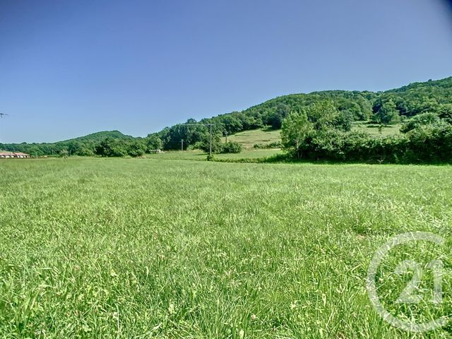 Terrain &agrave; vendre - 3019 m2 - Montjoie En Couserans - 09 - MIDI-PYRENEES