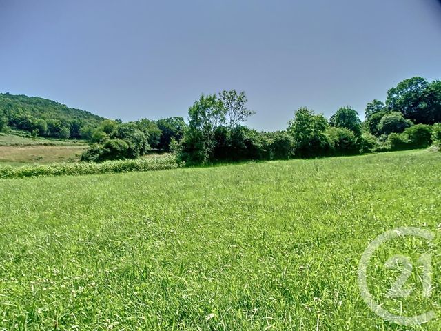 Terrain &agrave; vendre - 3019 m2 - Montjoie En Couserans - 09 - MIDI-PYRENEES