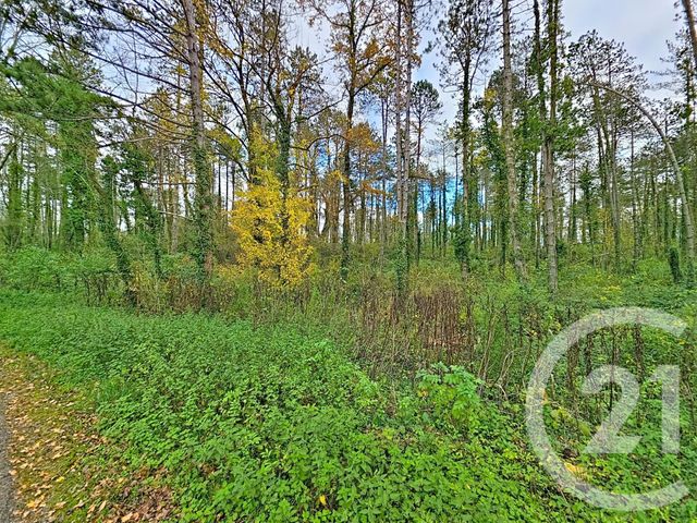 Terrain &agrave; vendre - 45093 m2 - Montjoie En Couserans - 09 - MIDI-PYRENEES