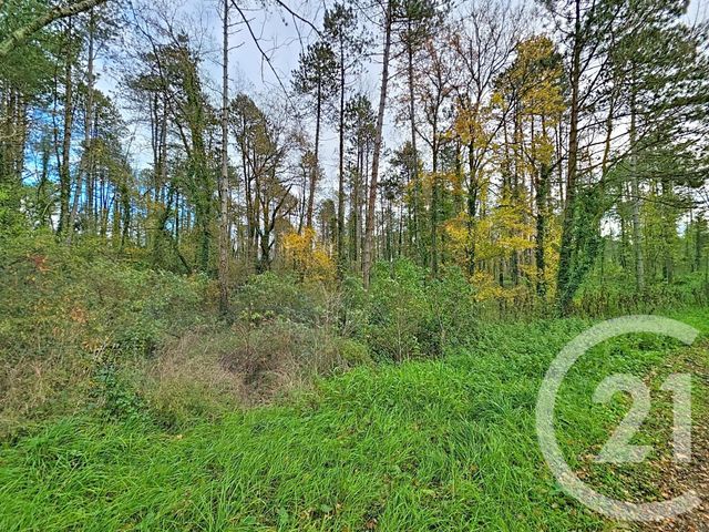 Terrain &agrave; vendre - 45093 m2 - Montjoie En Couserans - 09 - MIDI-PYRENEES