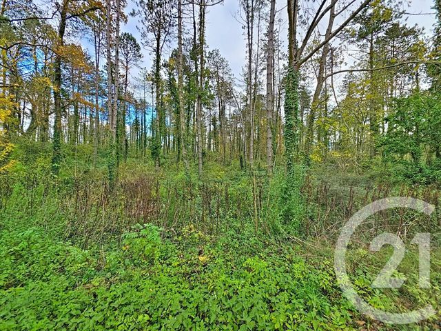 Terrain &agrave; vendre - 45093 m2 - Montjoie En Couserans - 09 - MIDI-PYRENEES