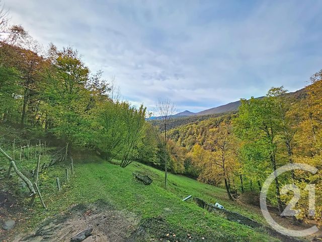 Maison à vendre - 3 pièces - 61,84 m2 - Villeneuve - 09 - MIDI-PYRENEES