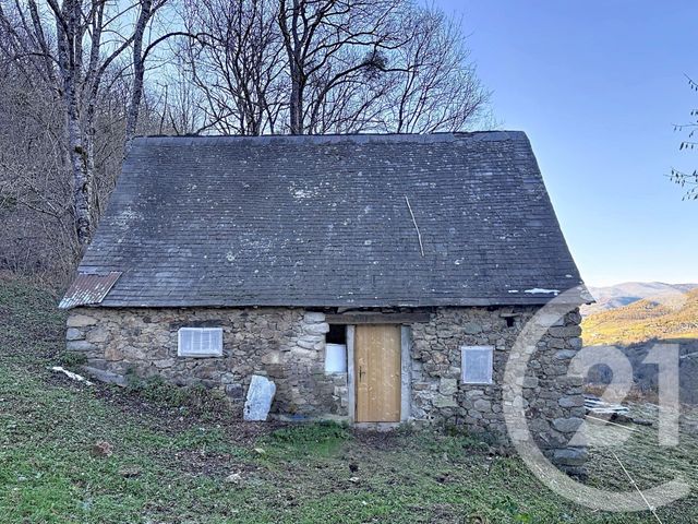 maison - BETHMALE - 09