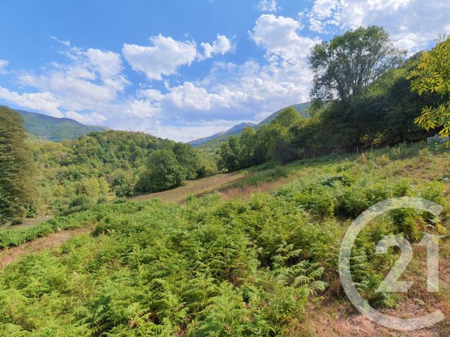 Maison &agrave; vendre - 2 pi&egrave;ces - 96 m2 - Bethmale - 09 - MIDI-PYRENEES