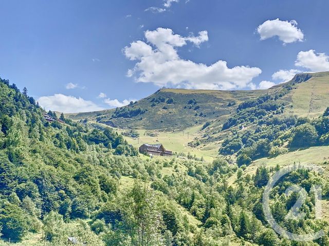 Appartement Studio à vendre - 1 pièce - 45,25 m2 - Ustou - 09 - MIDI-PYRENEES