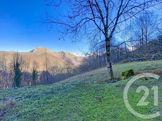 appartement - AULUS LES BAINS - 09