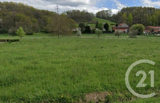 Terrain &agrave; vendre - 10149 m2 - Mane - 31 - MIDI-PYRENEES