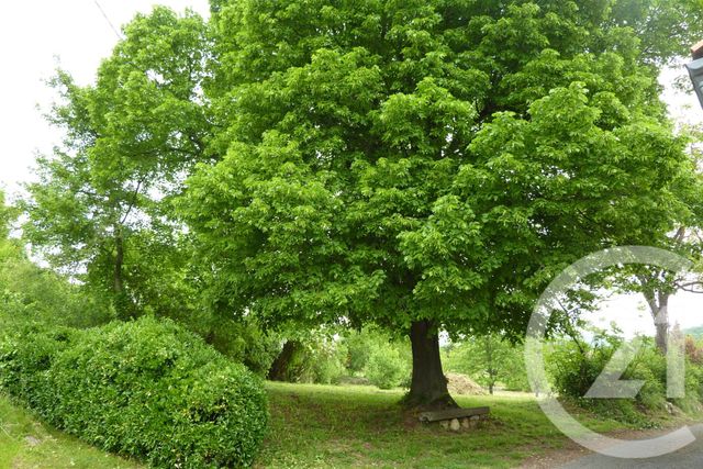 Terrain &agrave; vendre - 1901 m2 - Laffite Toupiere - 31 - MIDI-PYRENEES