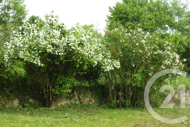 Terrain &agrave; vendre - 1901 m2 - Laffite Toupiere - 31 - MIDI-PYRENEES