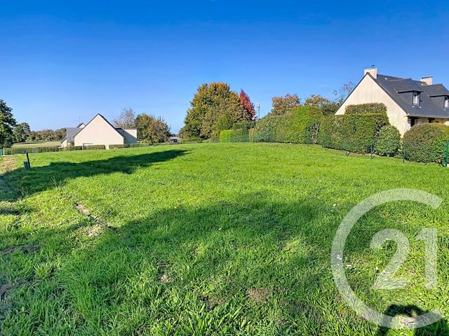 Terrain à vendre ALLAIRE